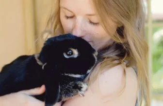 How Do Smart Pet Products Make Pet Ownership Easier and More Convenient?